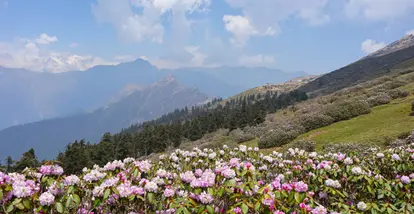 Valley of Flowers Trek