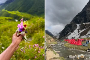 Valley of Flowers vs Hampta Pass