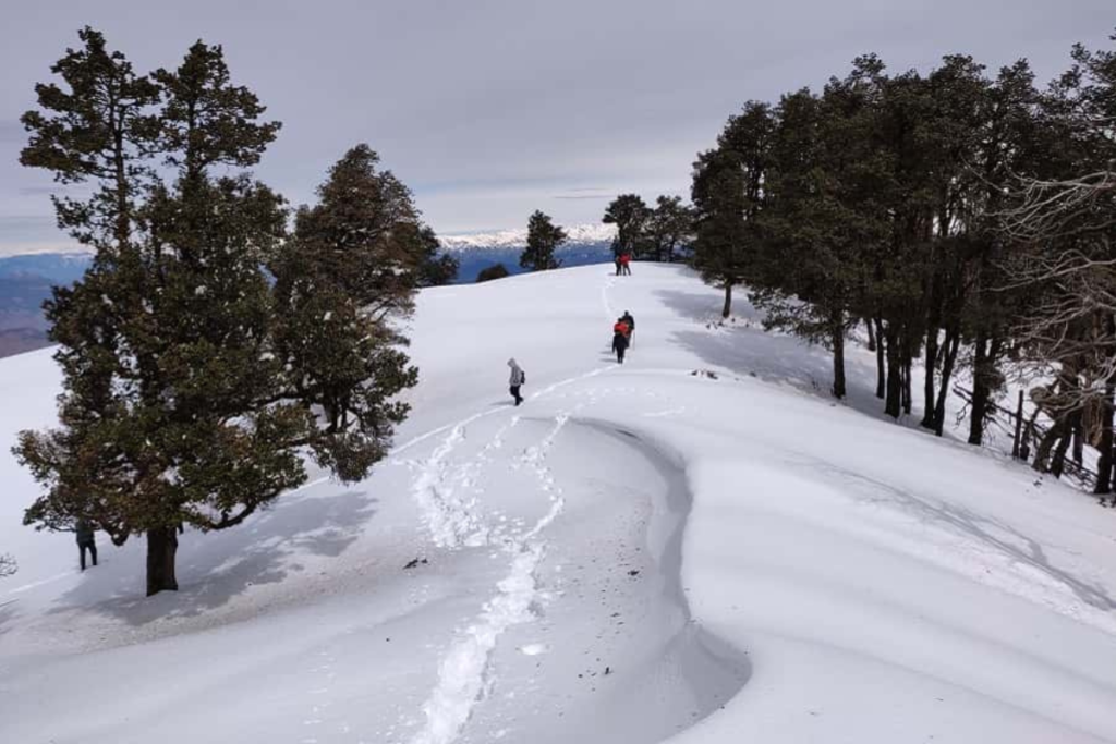 Snowfall in Nag Tibba